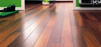 Locate Your Alternative to Expensive Woods in Cork Flooring