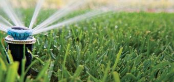 How Much And How Often Should You Water Your Lawn?
